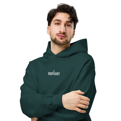 BIGPHANT EMBROIDERED HOODIE